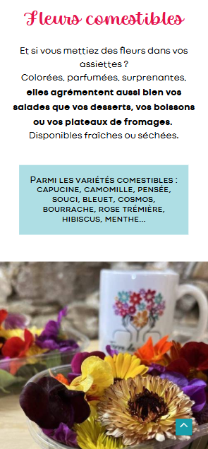 Capture d'écran mobile du site de Terre de couleurs