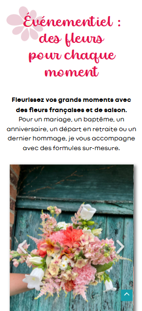 Capture d'écran mobile du site de Terre de couleurs