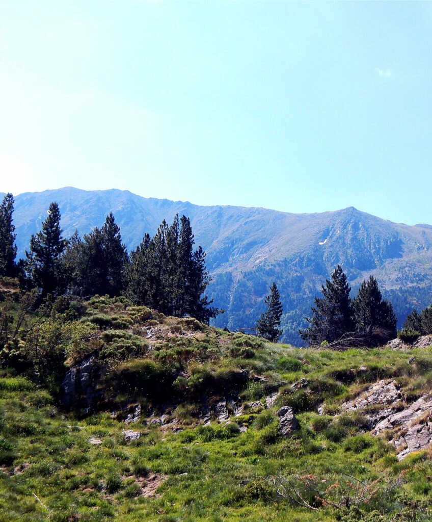 paysage de montagne