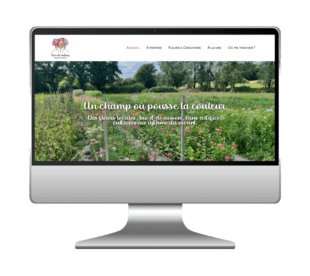 Site de Terre de couleurs