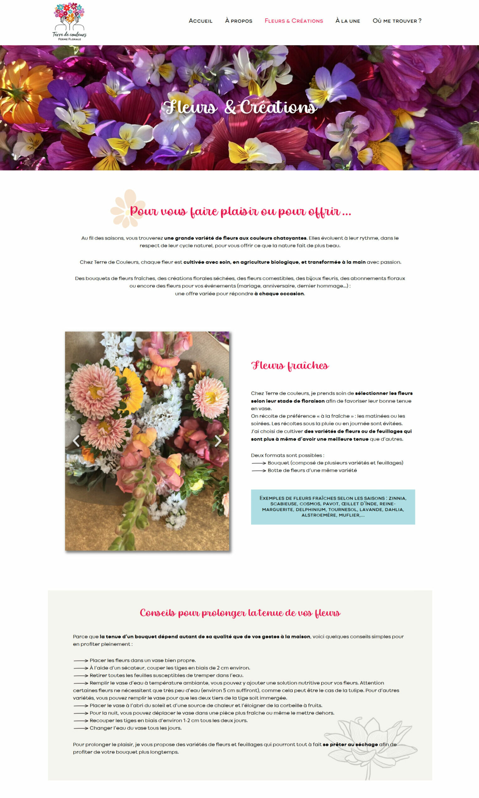 Capture d'écran du site de Terre de couleurs