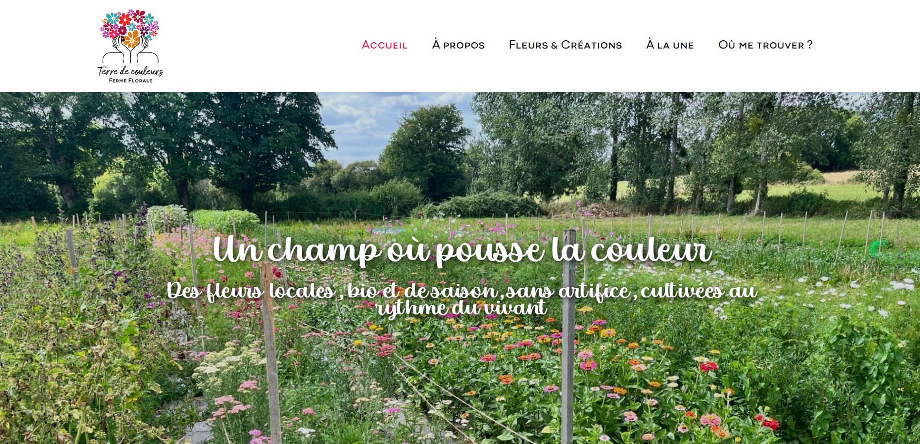 Capture d'écran du site de Terre de Couleurs